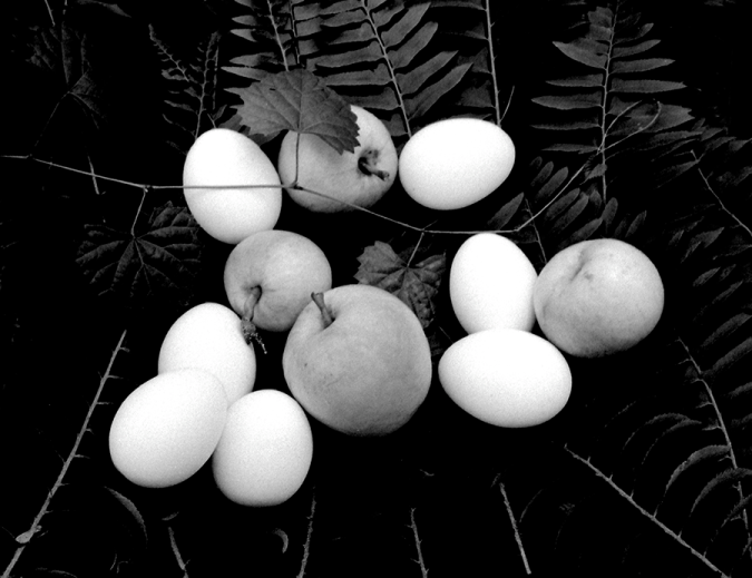 Apples-Eggs-Wild Ferns