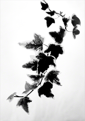 Descending the Light