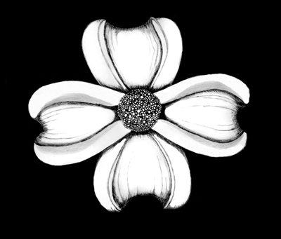 Dogwood Bloom
