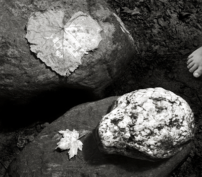 Leaves, Stones and Toes