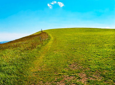 Max Patch At The Top