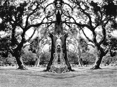 Oakscape Magic-The Joker